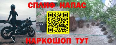 марихуана Будённовск