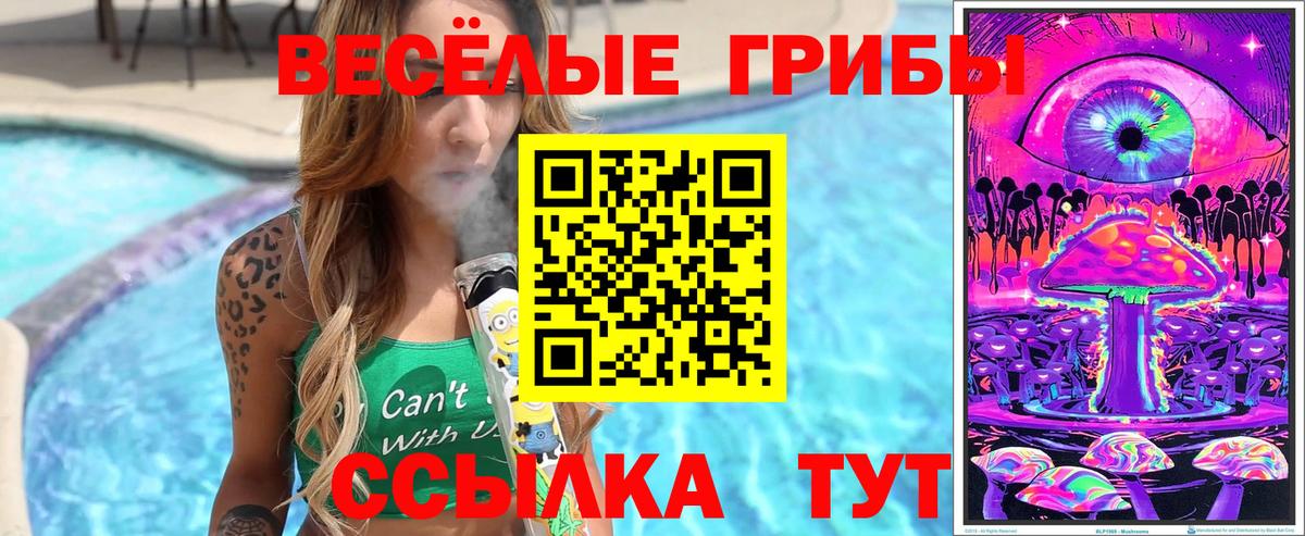 Галлюциногенные грибы Psilocybe Назарово