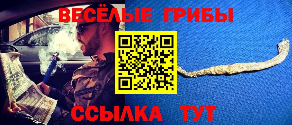 Галлюциногенные грибы Magic Shrooms  Вход с VPN  Назарово 